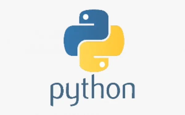 Python 3.8.4