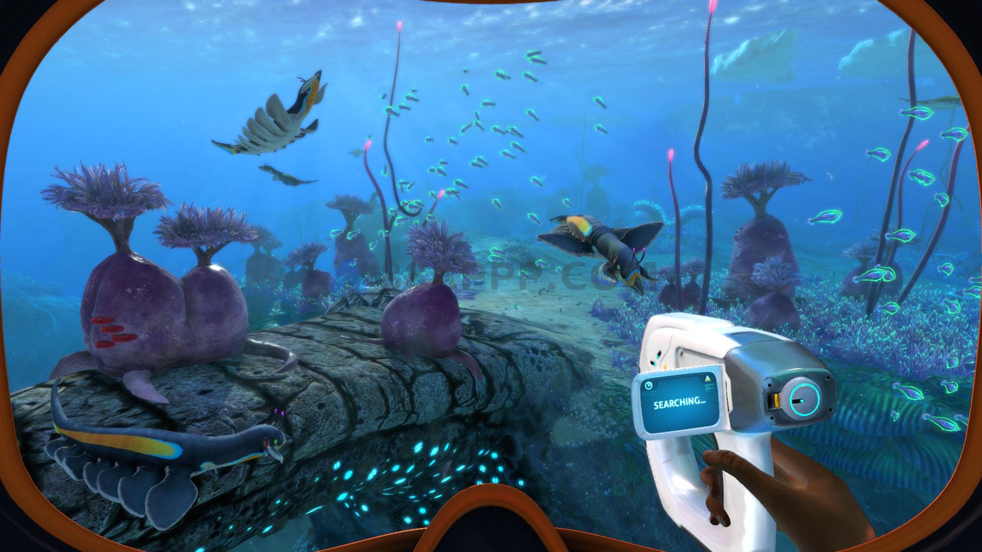 美丽水世界 Subnautica v2024.05.30+深海迷航：零度之下 Subnautica: Below Zero v49720-二次元共享站2cyshare