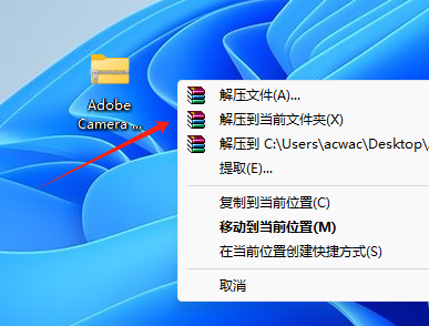 Adobe Camera Raw 16.4插图8