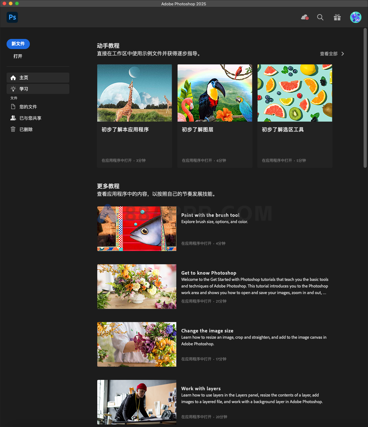 Adobe Photoshop 2025 for Mac v26.0 中文激活 Ps图像编辑软件插图12